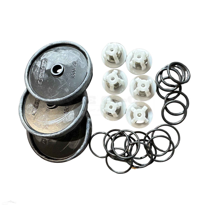 APS31 &APS41 Pump Service Kit