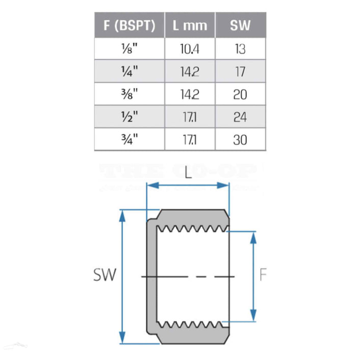 Tefen Blanking Cap SPECS