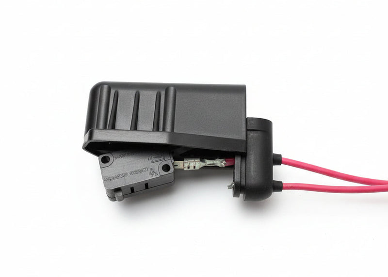 microswitch
