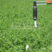 Foam markers and replacement spare parts, TJ Golf (4 gal) Foam Marker for Turf Sprayers - for Salvarani Foam marker 901713. Foam Blob