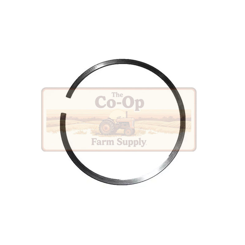 Ring Piston