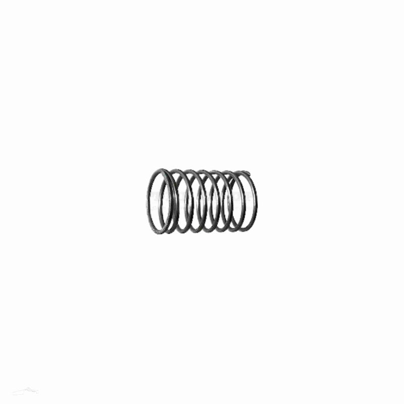 Silvan Replacement Part Spring-Valve P Bp Ids (C1802-15)