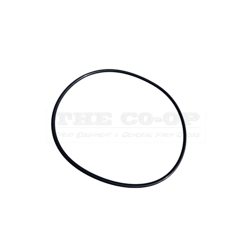 Silvan Replacement Part O-Ring Lid G8178006 (GG00001075)