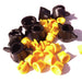 Hardi Conversion Cap with TeeJet Style yellow Nozzle