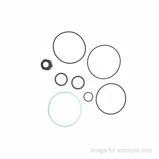 Replacement Part Piusi Kit-O-Ring-Bp3000 (R16716000)