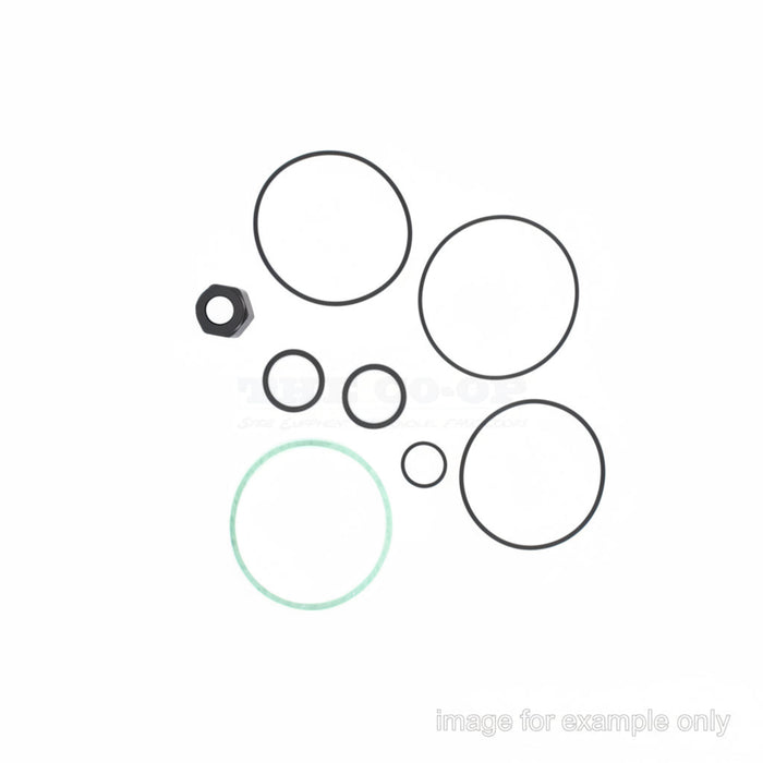Replacement Part Piusi Kit-O-Ring-Bp3000 (R16716000)