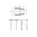 Tefen BSPT Pipe Reducing Coupling sizes