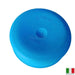 Annovi Reverberi replcement Blueflex Diaphragm 650671 - THE CO-OP