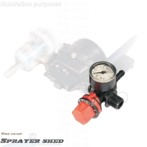 12v pump pressure control image with gauge
