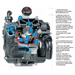 Bertolini POLY2260 Diaphragm pump - THE CO-OP